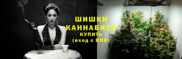 молекула духа Снежногорск