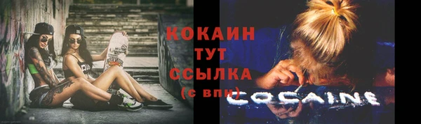 твердый Белоозёрский