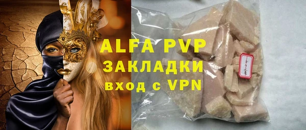 молекула духа Снежногорск