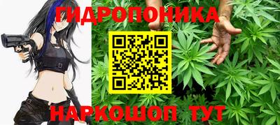 mix Кингисепп