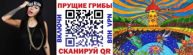 что такое Кстово Псилоцибиновые грибы Magic Shrooms