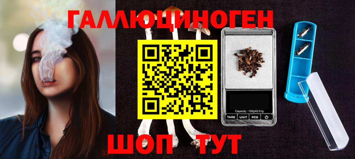 Галлюциногенные грибы Cubensis  купить   Вход с VPN  Кстово  Псилоцибиновые грибы GOLDEN TEACHER 